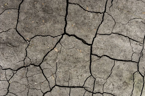 Terre Grise Séchée Fissurée Gros Plan Fissure Sèche Sol Sombre — Photo