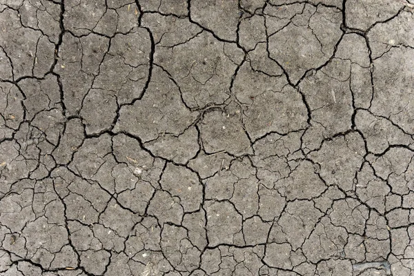 Fondo Tierra Gris Seco Agrietado Primer Plano Fisura Seca Suelo — Foto de Stock