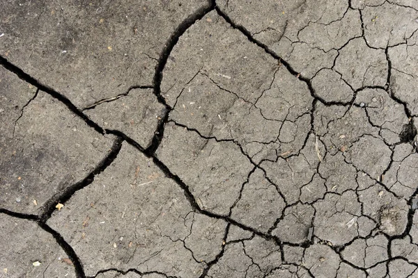 Grey Dried Cracked Ground Earth Background Closeup Dry Fissure Dark — Stock Photo, Image