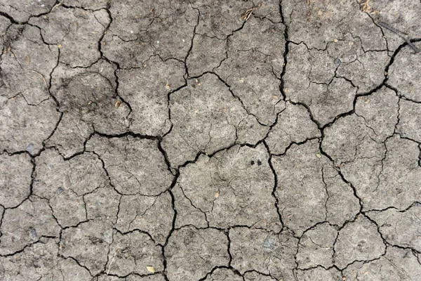 Fondo Tierra Gris Seco Agrietado Primer Plano Fisura Seca Suelo — Foto de Stock