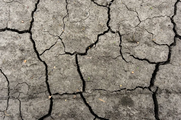 Fondo Tierra Gris Seco Agrietado Primer Plano Fisura Seca Suelo — Foto de Stock