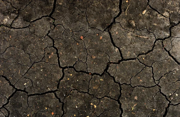 Grey dried and cracked ground earth background. Closeup of dry fissure dark ground. Gray crack on earth texture. erosion