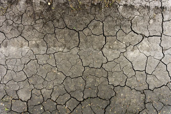 Grey Dried Cracked Ground Earth Background Closeup Dry Fissure Dark — Stock Photo, Image