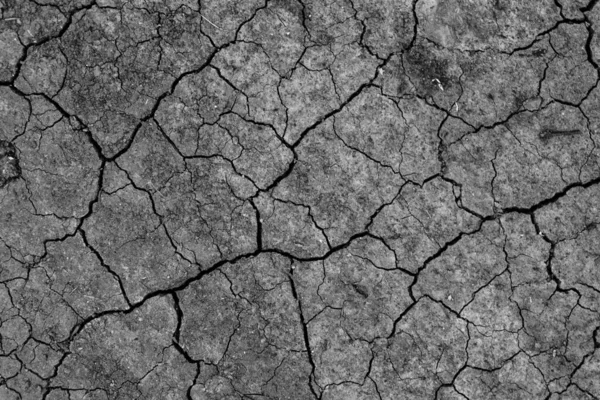 Grey Dried Cracked Ground Earth Background Closeup Dry Fissure Dark — Stock Photo, Image