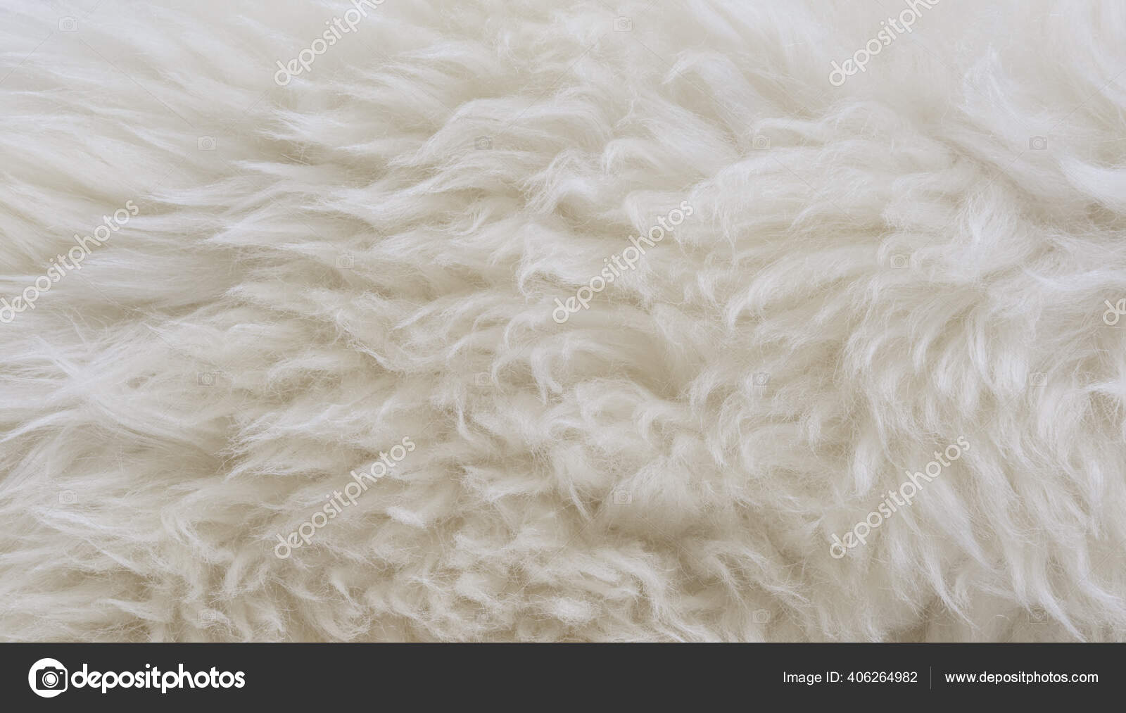 fond de texture de laine propre blanche. laine de mouton naturelle légère.  coton blanc sans couture. texture de fourrure moelleuse pour les  concepteurs. gros plan fragment de tapis de laine blanche. 15235483 Photo  de stock chez Vecteezy