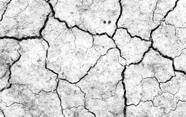 Beyaz kurumuş ve çatlamış toprak arka planı. Kuru yarık alanına yakın. Toprak dokusunda gri çatlak. erozyon