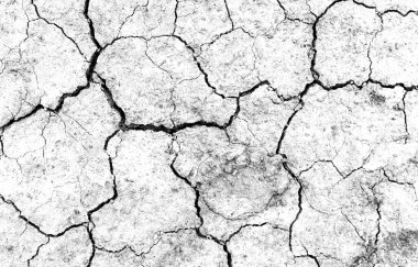 Beyaz kurumuş ve çatlamış toprak arka planı. Kuru yarık alanına yakın. Toprak dokusunda gri çatlak. erozyon