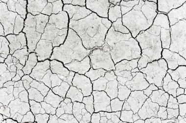 Beyaz kurumuş ve çatlamış toprak arka planı. Kuru yarık alanına yakın. Toprak dokusunda gri çatlak. erozyon