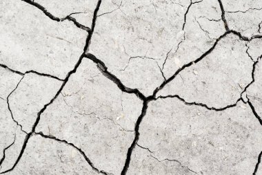 Beyaz kurumuş ve çatlamış toprak arka planı. Kuru yarık alanına yakın. Toprak dokusunda gri çatlak. erozyon
