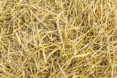 Sarı saman arkaplan dokusu, saman yığını, kuru ot dokusu, saman