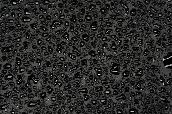 Wassertropfen Auf Schwarzem Hintergrund Nahaufnahme — Stockfoto