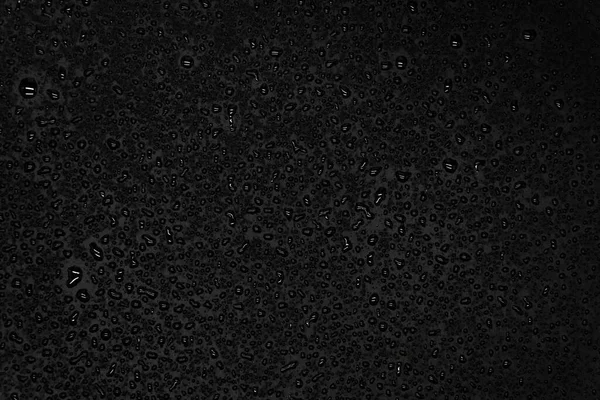 Water Drops Black Background Closeup Texture — Stock Photo, Image