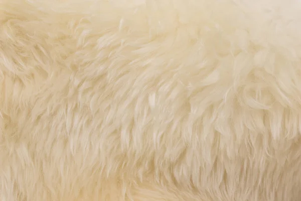 Άσπρο Δέρμα Ζώου Φόντο Υφή Μπεζ Φυσικό Μαλλί Πρόβατα Close — Φωτογραφία Αρχείου
