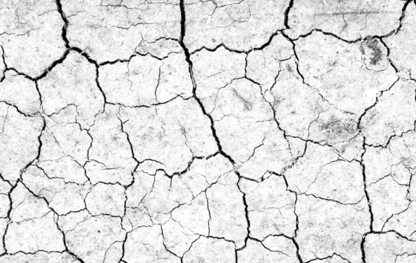 Weiße Getrocknete Und Rissige Erde Hintergrund Nahaufnahme Eines Trockenen Spaltbodens — Stockfoto