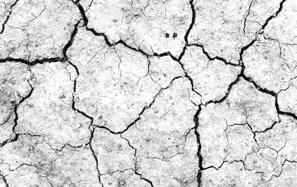 White Dried Cracked Ground Earth Background Closeup Dry Fissure Ground — Stock Photo, Image