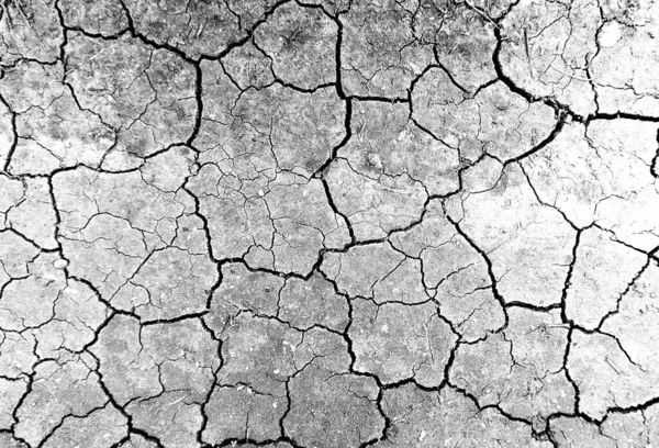 White dried and cracked ground earth background. Closeup of dry fissure ground. Gray crack on earth texture. erosion