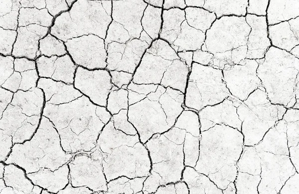 White Dried Cracked Ground Earth Background Closeup Dry Fissure Ground — Stock Photo, Image