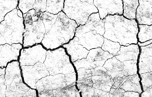 White Dried Cracked Ground Earth Background Closeup Dry Fissure Ground — Stock Photo, Image