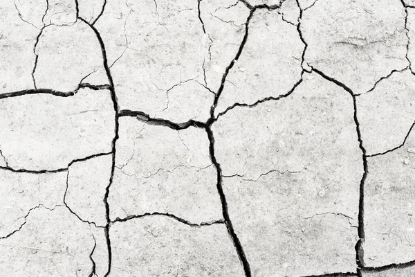 白は乾燥し 地面の背景を割れた 乾燥した亀裂の地面の閉鎖 地球のテクスチャに灰色の亀裂 — ストック写真