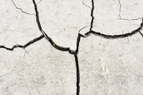 Blanco Seco Agrietado Fondo Tierra Primer Plano Del Suelo Fisura — Foto de Stock