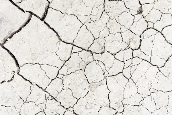 White Dried Cracked Ground Earth Background Closeup Dry Fissure Ground — Stock Photo, Image