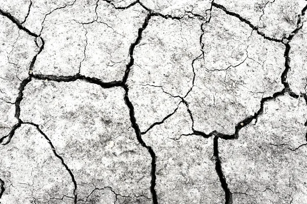 Terre Blanche Séchée Fissurée Fond Terre Gros Plan Fissure Sèche — Photo