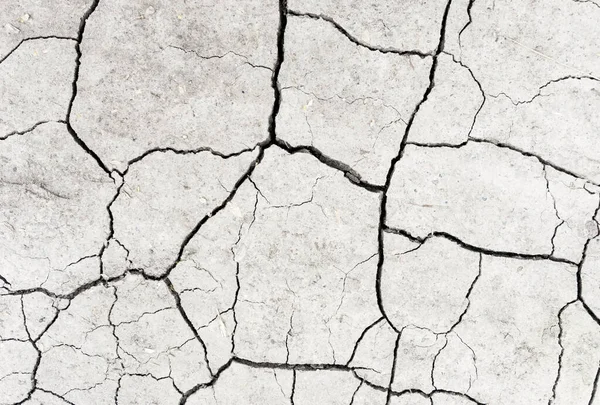 Beyaz kurumuş ve çatlamış toprak arka planı. Kuru yarık alanına yakın. Toprak dokusunda gri çatlak. erozyon