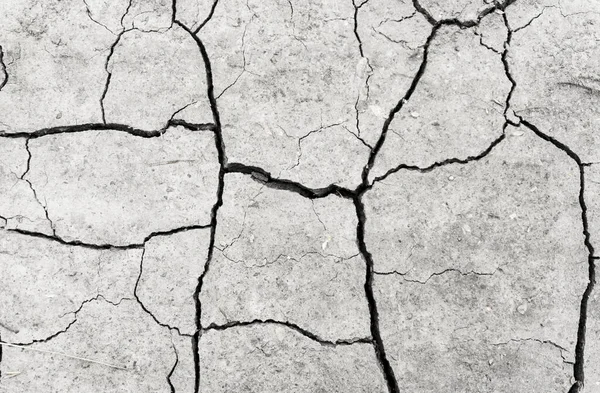 Beyaz kurumuş ve çatlamış toprak arka planı. Kuru yarık alanına yakın. Toprak dokusunda gri çatlak. erozyon