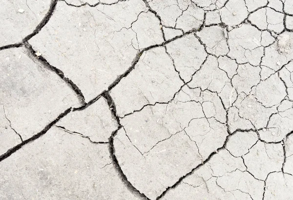 Beyaz kurumuş ve çatlamış toprak arka planı. Kuru yarık alanına yakın. Toprak dokusunda gri çatlak. erozyon