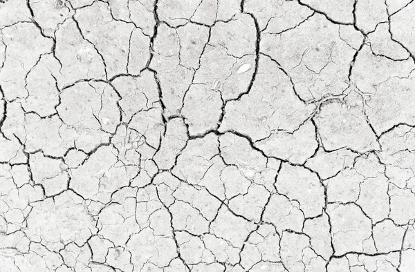 Białe Suche Pęknięte Podłoże Ziemi Zbliżenie Suchej Szczeliny Szary Pęknięcie — Zdjęcie stockowe