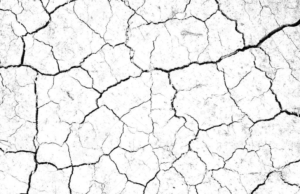 White dried and cracked ground earth background. Closeup of dry fissure ground. Gray crack on earth texture. erosion