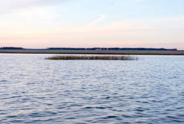 Akşamları göl manzarasında sazlıklar