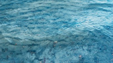 Nehir kıyıya yakın dalgalar ve dibi kayalık. Şeffaf temiz su dalgaları. Nehirdeki mavi su. Temiz su arka planı. Su yüzeyi, deniz yüzeyi, su arka planı, mavi su yüzeyi, soyut mavi su, dalgalı mavi su, mavi deniz suyu.