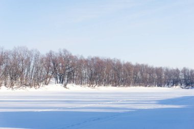 Kış ormanı manzarasında mavi gökyüzünde ağaçlar, kışın çıplak huş ağaçları.