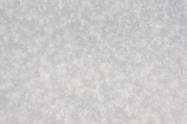 White Pure Snow Texture Background Fresh Snow Texture Rough Snowy — Stock Photo, Image