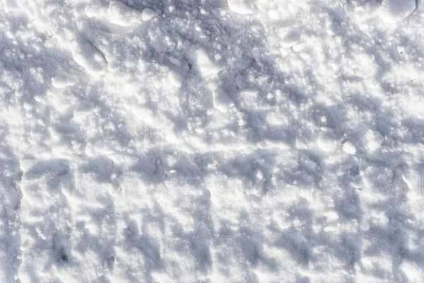 Biały Śnieg Tekstury Tło Świeżego Śniegu Tekstury Kolorze Niebieskim Ślady — Zdjęcie stockowe