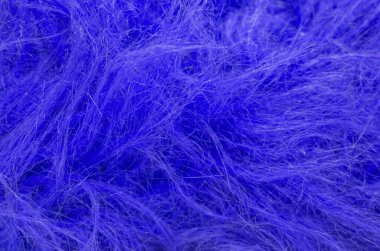 Mavi tüylü yün dokusu, hayvan yünü arka planı, boyanmış kürk dokusu yakın plan.
