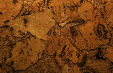 Mantar tahta yüzeyinin Arkaplanı ve Dokusunu Kapat