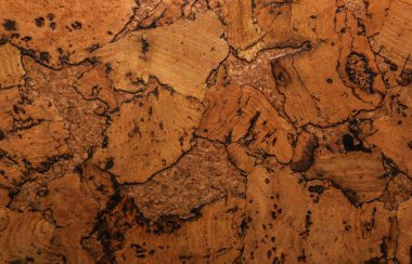 Mantar tahta yüzeyinin Arkaplanı ve Dokusunu Kapat