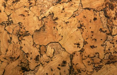 Mantar tahta yüzeyinin Arkaplanı ve Dokusunu Kapat