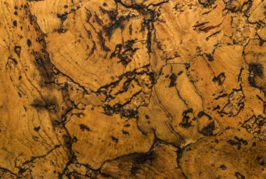 Mantar tahta yüzeyinin Arkaplanı ve Dokusunu Kapat