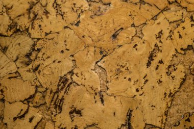 Mantar tahta yüzeyinin Arkaplanı ve Dokusunu Kapat