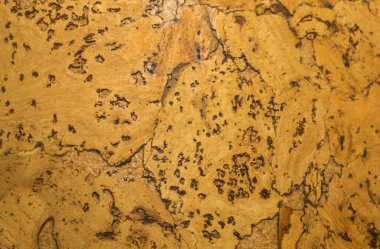 Mantar tahta yüzeyinin Arkaplanı ve Dokusunu Kapat