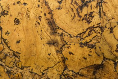 Mantar tahta yüzeyinin Arkaplanı ve Dokusunu Kapat