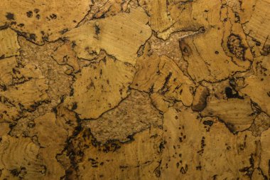 Mantar tahta yüzeyinin Arkaplanı ve Dokusunu Kapat