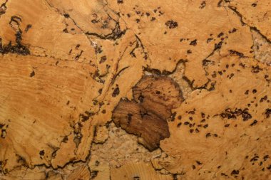 Mantar tahta yüzeyinin Arkaplanı ve Dokusunu Kapat