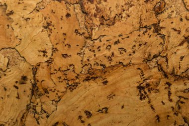 Mantar tahta yüzeyinin Arkaplanı ve Dokusunu Kapat