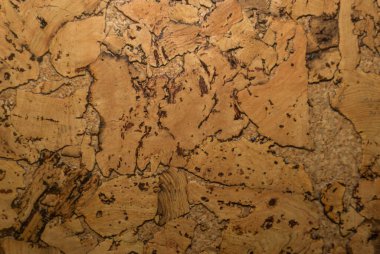 Mantar tahta yüzeyinin Arkaplanı ve Dokusunu Kapat