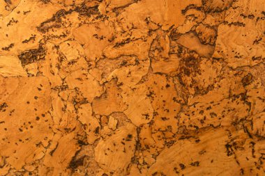 Mantar tahta yüzeyinin Arkaplanı ve Dokusunu Kapat