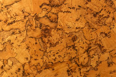 Mantar tahta yüzeyinin Arkaplanı ve Dokusunu Kapat